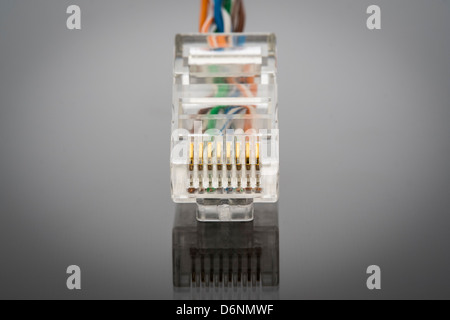 Close up de la tête d'un câble Ethernet RJ - 45, montrant le câblage interne. Banque D'Images