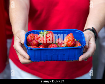 Bochum, Allemagne, une femme en chemise rouge est titulaire d'un bol de fraises Banque D'Images