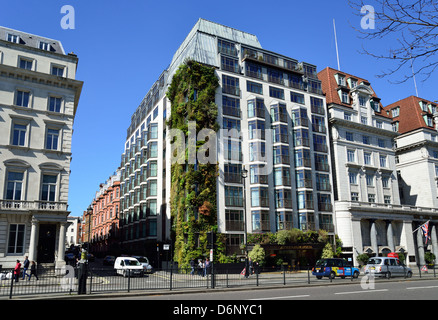 Le mur vivant jardin vertical, l'Athenaeum Hotel, Piccadilly, West End, City of Westminster, London, Greater London, Angleterre, Royaume-Uni Banque D'Images