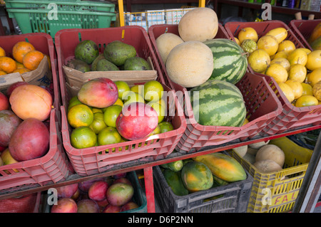 Caisses de fruits tropicaux Banque D'Images