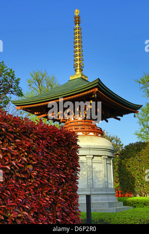 Jardins de Asakusa Sensoji Temple Kannon, Tokyo, Japon Banque D'Images