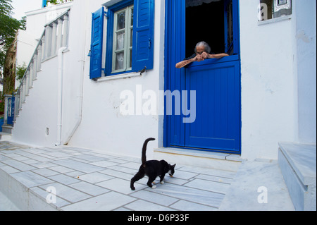 Chat, Pyrgos village, Tinos, Cyclades, îles grecques, Grèce, Europe Banque D'Images