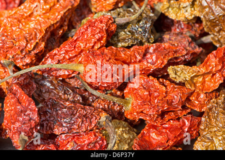 Bhut Jolokia piments séchés (également connu sous le nom de Naga Naga Jolokia, Ghost etc. Voir la description fort pour une liste complète des noms). Banque D'Images