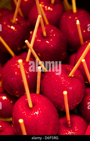 Pommes caramel, Marché de Noël, Dortmund, Rhénanie du Nord-Westphalie, Allemagne, Europe Banque D'Images