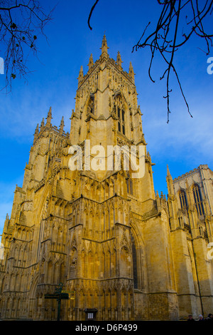 La cathédrale de York, York, Yorkshire, Angleterre, Royaume-Uni, Europe Banque D'Images