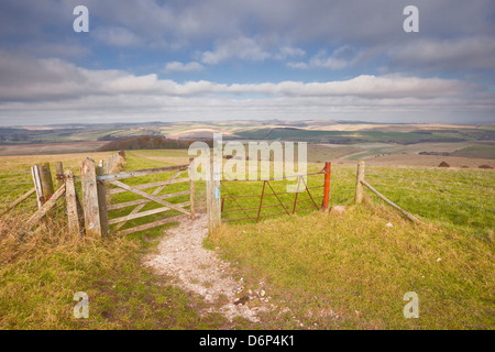 Les collines du Parc National des South Downs, près de Brighton, Sussex, Angleterre, Royaume-Uni, Europe Banque D'Images