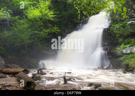 GANOGA TORRENT PRINTEMPS CUISINE CASCADE CREEK RICKETTS GLEN STATE PARK LUZERNE COMTÉ PENNSYLVANIA USA Banque D'Images