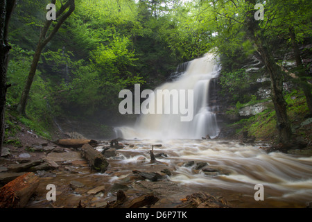 GANOGA TORRENT PRINTEMPS CUISINE CASCADE CREEK RICKETTS GLEN STATE PARK LUZERNE COMTÉ PENNSYLVANIA USA Banque D'Images