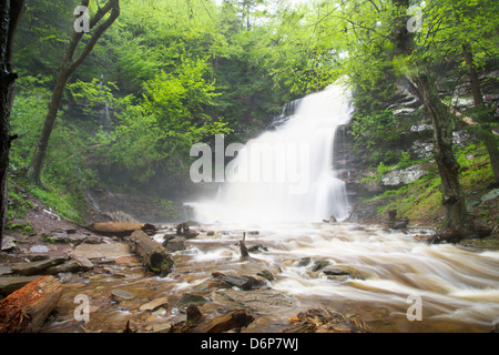 GANOGA TORRENT PRINTEMPS CUISINE CASCADE CREEK RICKETTS GLEN STATE PARK LUZERNE COMTÉ PENNSYLVANIA USA Banque D'Images