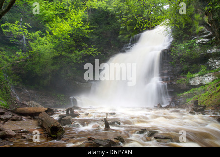 GANOGA TORRENT PRINTEMPS CUISINE CASCADE CREEK RICKETTS GLEN STATE PARK LUZERNE COMTÉ PENNSYLVANIA USA Banque D'Images