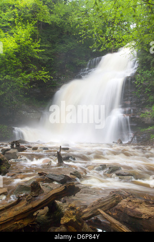 GANOGA TORRENT PRINTEMPS CUISINE CASCADE CREEK RICKETTS GLEN STATE PARK LUZERNE COMTÉ PENNSYLVANIA USA Banque D'Images