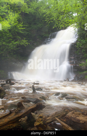 GANOGA TORRENT PRINTEMPS CUISINE CASCADE CREEK RICKETTS GLEN STATE PARK LUZERNE COMTÉ PENNSYLVANIA USA Banque D'Images