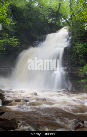 GANOGA TORRENT PRINTEMPS CUISINE CASCADE CREEK RICKETTS GLEN STATE PARK LUZERNE COMTÉ PENNSYLVANIA USA Banque D'Images