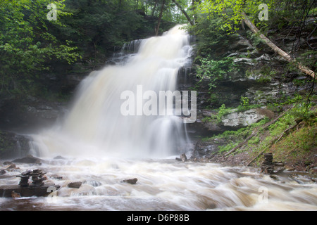 GANOGA TORRENT PRINTEMPS CUISINE CASCADE CREEK RICKETTS GLEN STATE PARK LUZERNE COMTÉ PENNSYLVANIA USA Banque D'Images