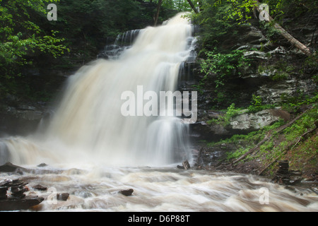 GANOGA TORRENT PRINTEMPS CUISINE CASCADE CREEK RICKETTS GLEN STATE PARK LUZERNE COMTÉ PENNSYLVANIA USA Banque D'Images