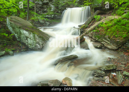 TORRENT PRINTEMPS B REYNOLDS CUISINE CASCADE CREEK RICKETTS GLEN STATE PARK LUZERNE COMTÉ PENNSYLVANIA USA Banque D'Images