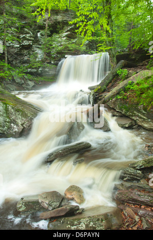 TORRENT PRINTEMPS B REYNOLDS CUISINE CASCADE CREEK RICKETTS GLEN STATE PARK LUZERNE COMTÉ PENNSYLVANIA USA Banque D'Images