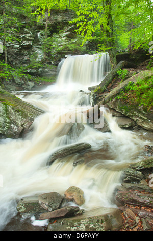 TORRENT PRINTEMPS B REYNOLDS CUISINE CASCADE CREEK RICKETTS GLEN STATE PARK LUZERNE COMTÉ PENNSYLVANIA USA Banque D'Images