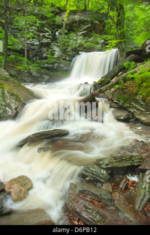 TORRENT PRINTEMPS B REYNOLDS CUISINE CASCADE CREEK RICKETTS GLEN STATE PARK LUZERNE COMTÉ PENNSYLVANIA USA Banque D'Images