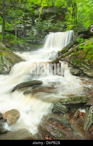 TORRENT PRINTEMPS B REYNOLDS CUISINE CASCADE CREEK RICKETTS GLEN STATE PARK LUZERNE COMTÉ PENNSYLVANIA USA Banque D'Images