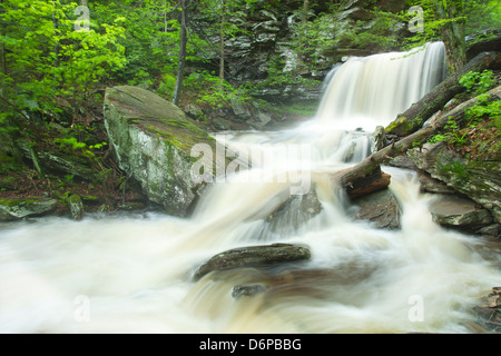 TORRENT PRINTEMPS B REYNOLDS CUISINE CASCADE CREEK RICKETTS GLEN STATE PARK LUZERNE COMTÉ PENNSYLVANIA USA Banque D'Images