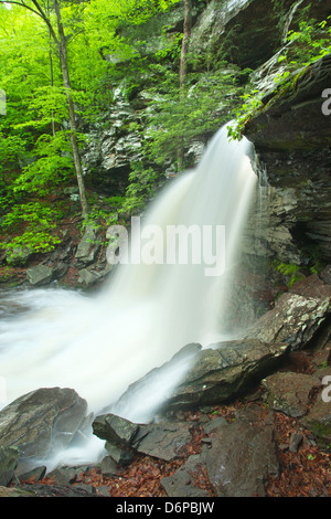 TORRENT PRINTEMPS B REYNOLDS CUISINE CASCADE CREEK RICKETTS GLEN STATE PARK LUZERNE COMTÉ PENNSYLVANIA USA Banque D'Images