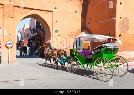 Les touristes à Marrakech bénéficiant d'un cheval et panier ride autour de l'ancienne médina, Marrakech, Maroc, Afrique du Nord, Afrique Banque D'Images