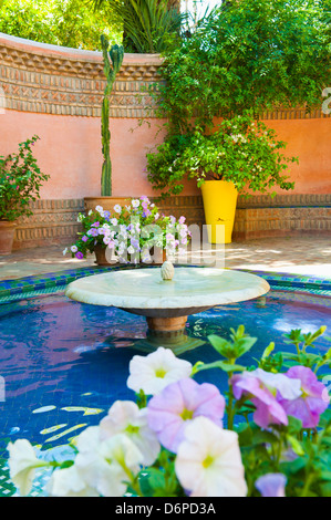 Fontaine et fleurs dans les jardins Majorelle (jardins d'Yves Saint-Laurent), Marrakech, Maroc, Afrique du Nord, Afrique Banque D'Images