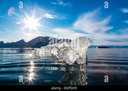 La glace flottante, Vikingbukta (Viking Bay), Scoresbysund, au nord-est du Groenland, les régions polaires Banque D'Images