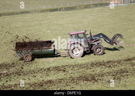 L'épandage de fumier, Devon, UK Banque D'Images