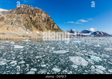 Gnalodden falaise, Hornsund, Spitzberg, archipel du Svalbard, Norvège, Scandinavie, Europe Banque D'Images