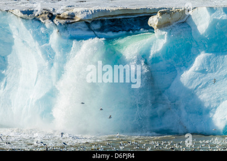 Negribreen Negri (Glacier), Olav V Terre, Spitzberg, archipel du Svalbard, Norvège, Scandinavie, Europe Banque D'Images