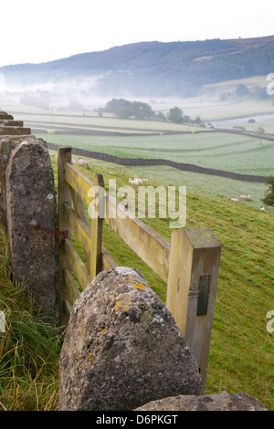 La porte en mur de pierre et sur le terrain, près de Tonbridge, dans le Yorkshire Dales National Park, Yorkshire, Angleterre, Royaume-Uni, Europe Banque D'Images