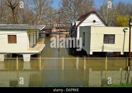 L'inondation sur la rivière Tisza à Szeged Hongrie l'ECO Banque D'Images