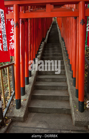 Torii gates, Tokyo Banque D'Images