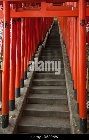 Torii gates, Tokyo Banque D'Images