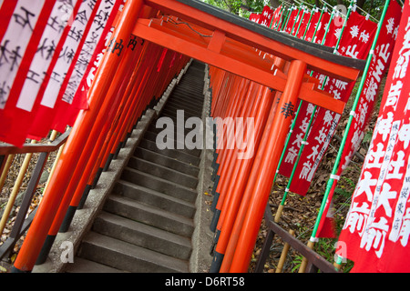 Torii gates, Tokyo Banque D'Images