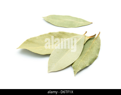 Les feuilles de laurier séchées isolé sur fond blanc Banque D'Images