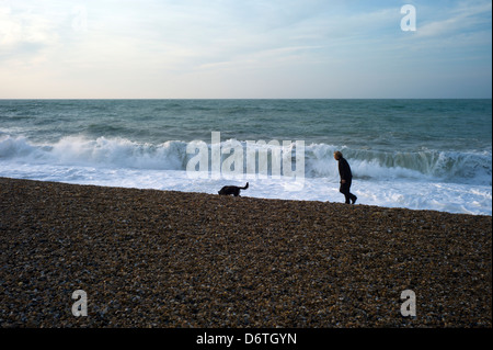 L'homme et le chien walking on beach, grosse mer, Brighton, UK Banque D'Images