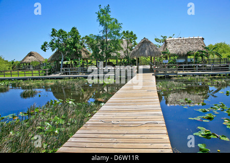 Nord;USA;Floride;le Parc National des Everglades;Village indien Seminole Banque D'Images