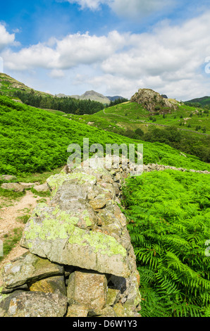 Tarnclose Crag et les Langdale Pikes près de Little Langdale dans le Lake District, Cumbria, Angleterre. Banque D'Images