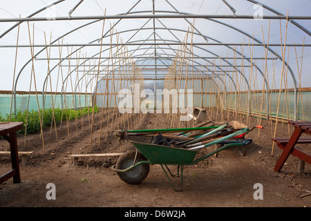 Un grand tunnel poly-intérieur avec les cannes et les fils en place pour soutenir les cultures et une brouette pleine de matériel de jardinage Banque D'Images