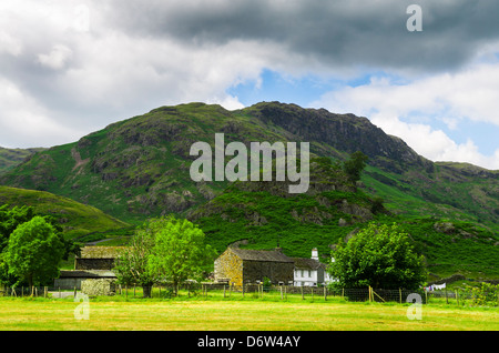 Pied ferme est tombé au pied de Wrynose est tombé dans le Lake District près de Little Langdale, Cumbria, Angleterre. Banque D'Images