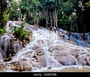 8415. Dunn's River Falls, Ocho Rios, Jamaïque, Caraïbes, Antilles Banque D'Images