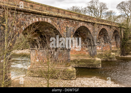 Structure, Pont, Rivière, chemins de traverse, Banque D'Images