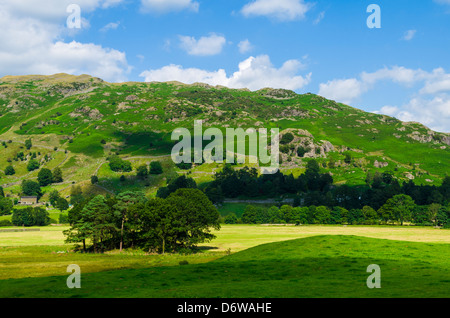 Elterwater Valley dans le district d'English Lake près de Chapel Stile, Cumbria, Angleterre. Banque D'Images