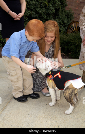 Les enfants entrant pour animaux de Marine Corps mascot Private First Class Chesty XIV au cours de la cérémonie d'ancrage et Eagle Globe pour le 8 avril 2013 à Washington, DC. Le Bulldog anglais a été le choix de la race pour mascotte Marine depuis les années 50, chacun étant nommé Chesty en l'honneur de la fin très décoré le général Lewis Chesty puller. Banque D'Images