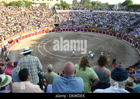 Vue générale d'une arène lors d'une corrida dans l'île espagnole de Majorque Banque D'Images