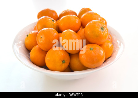 Oranges, clémentines une variété de mandarine, Citrus reticulata, dans un bol blanc, fond blanc. Banque D'Images