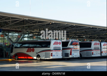 Les bus ADO à la station de bus au centre-ville de Cancun Cancun Quintana Roo, Mexique Banque D'Images